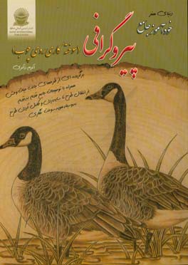 کتاب دنیای هنر خودآموز جامع پیروگرافی