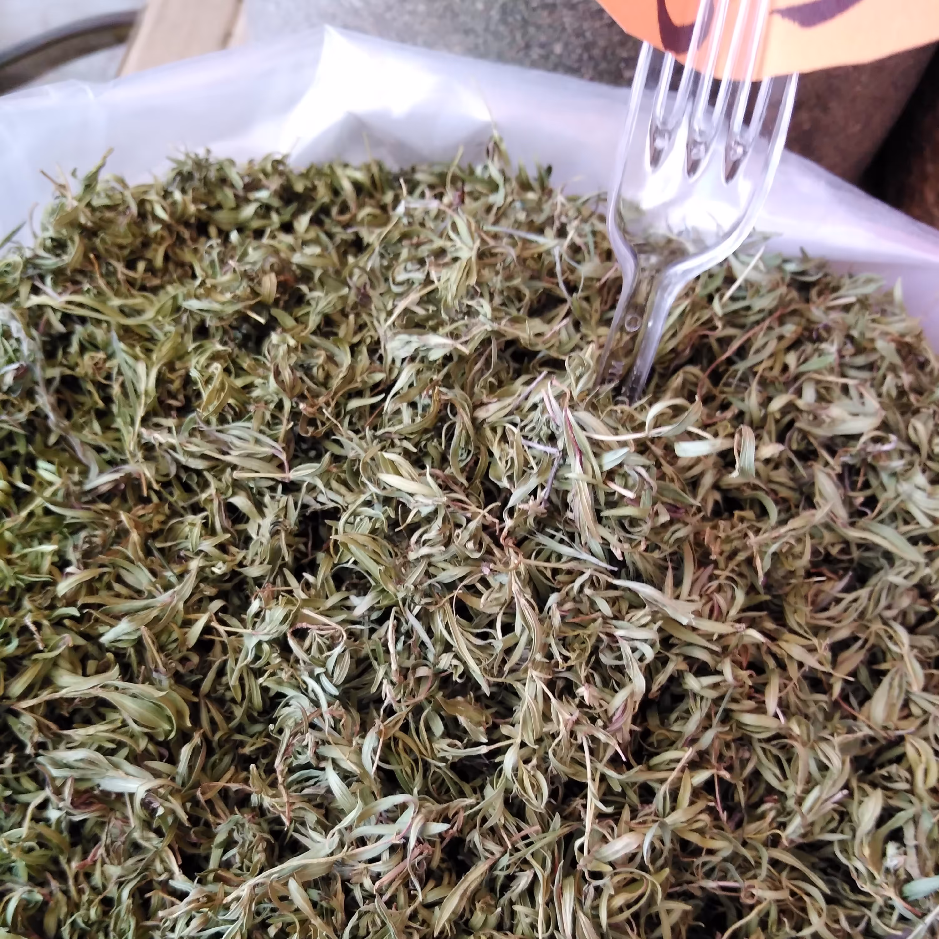 اویشن کوهی  اعلا زاگرس فریدن 