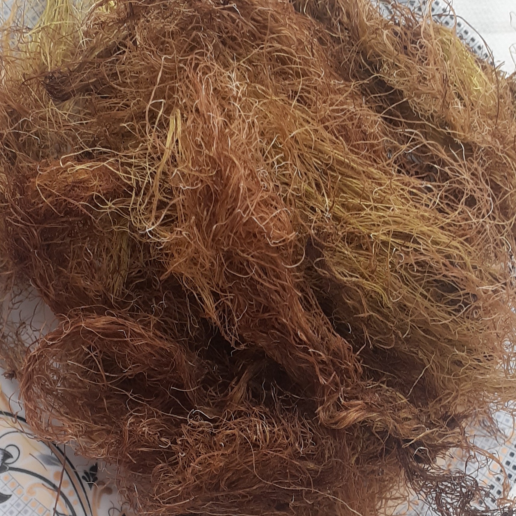 کاکل ذرت بسیار با کیفیت و تمیز در بسته های 50گرمی