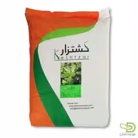 بذر خرفه کشتزار