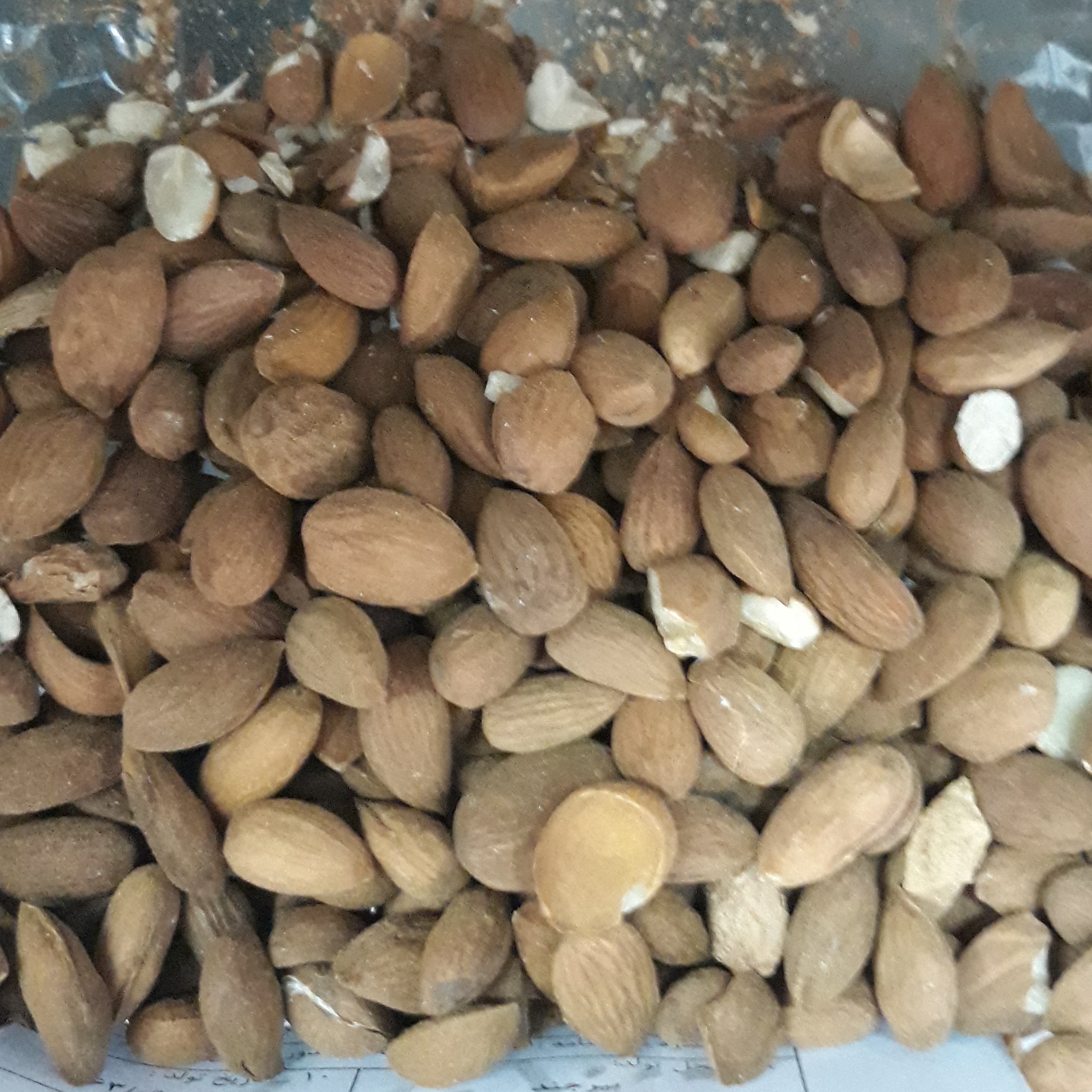 مغز بادام درختی محلی