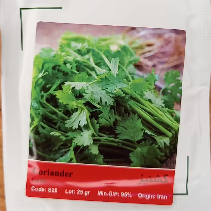 بذر سبزی گشنیز  پاکت خانگی