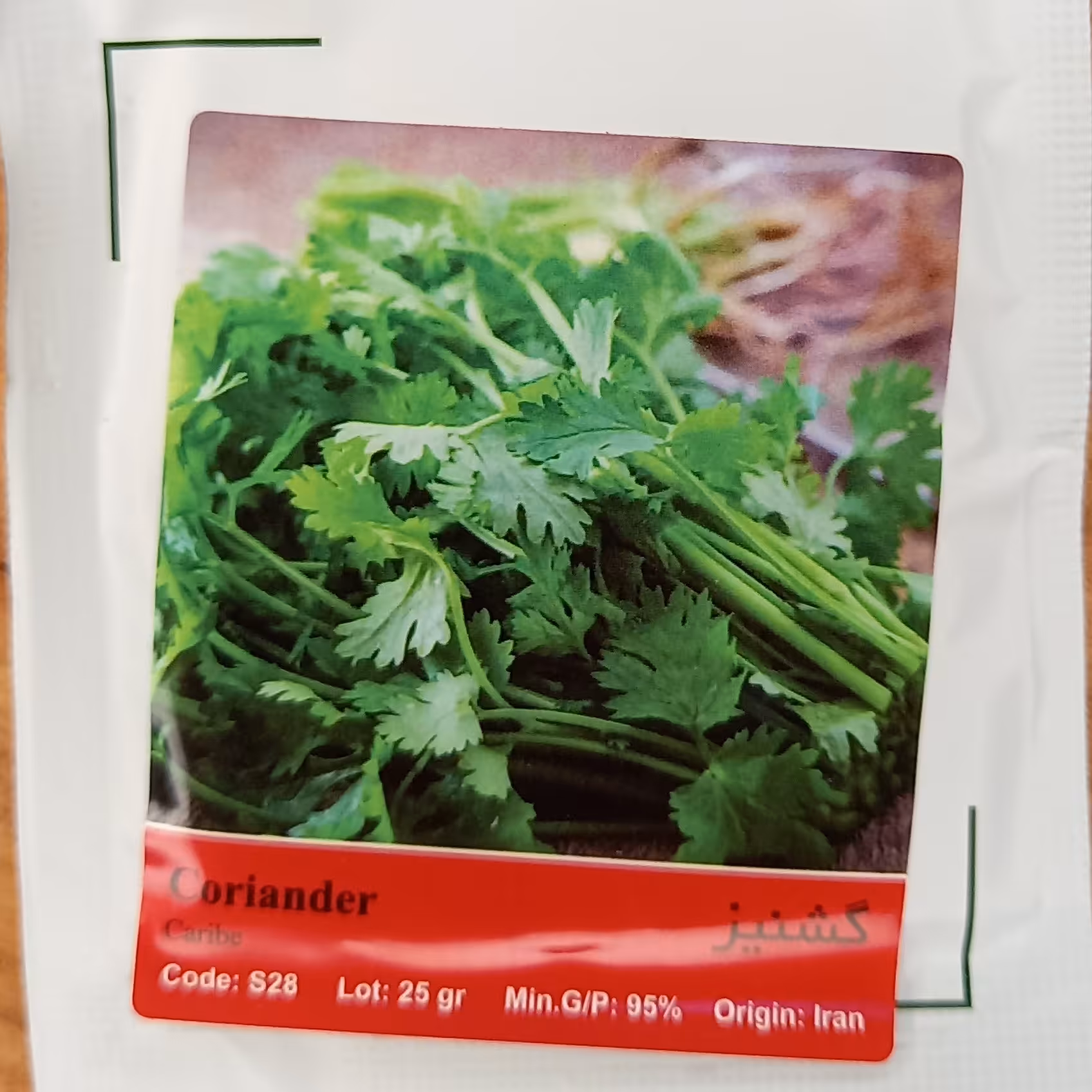 بذر سبزی گشنیز  پاکت خانگی