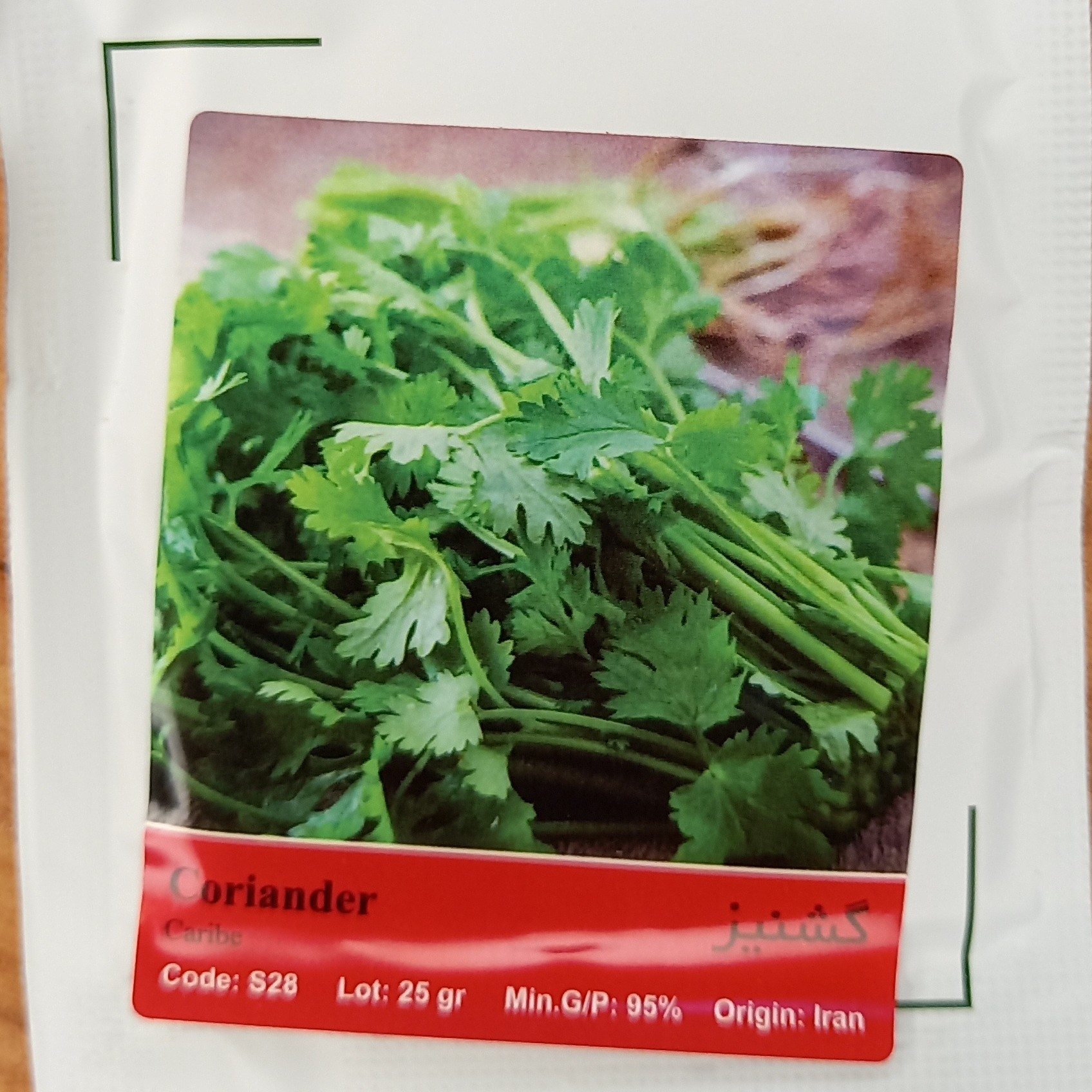 بذر سبزی گشنیز پاکت خانگی
