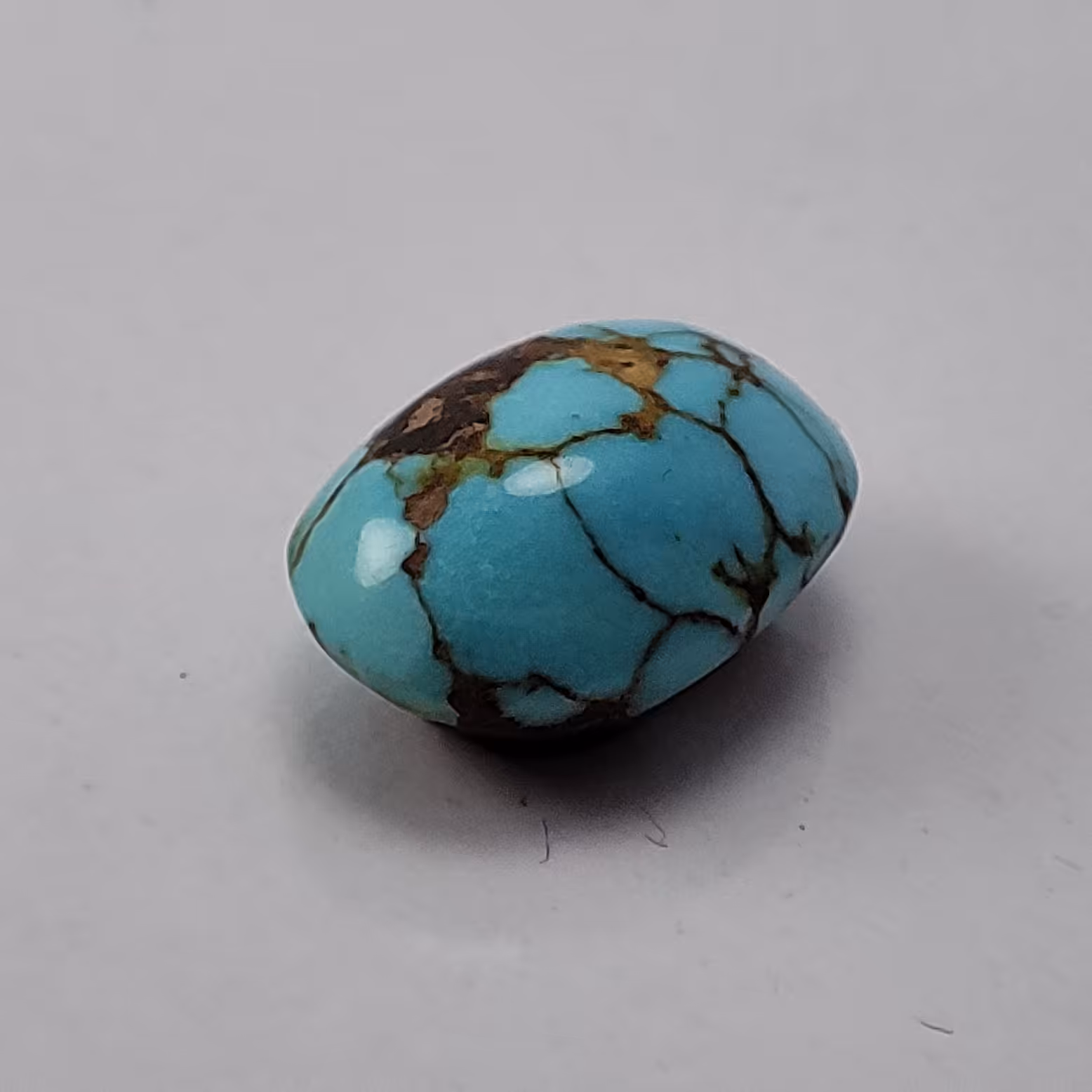 فیروزه نیشابوری.  عنکبوتی 