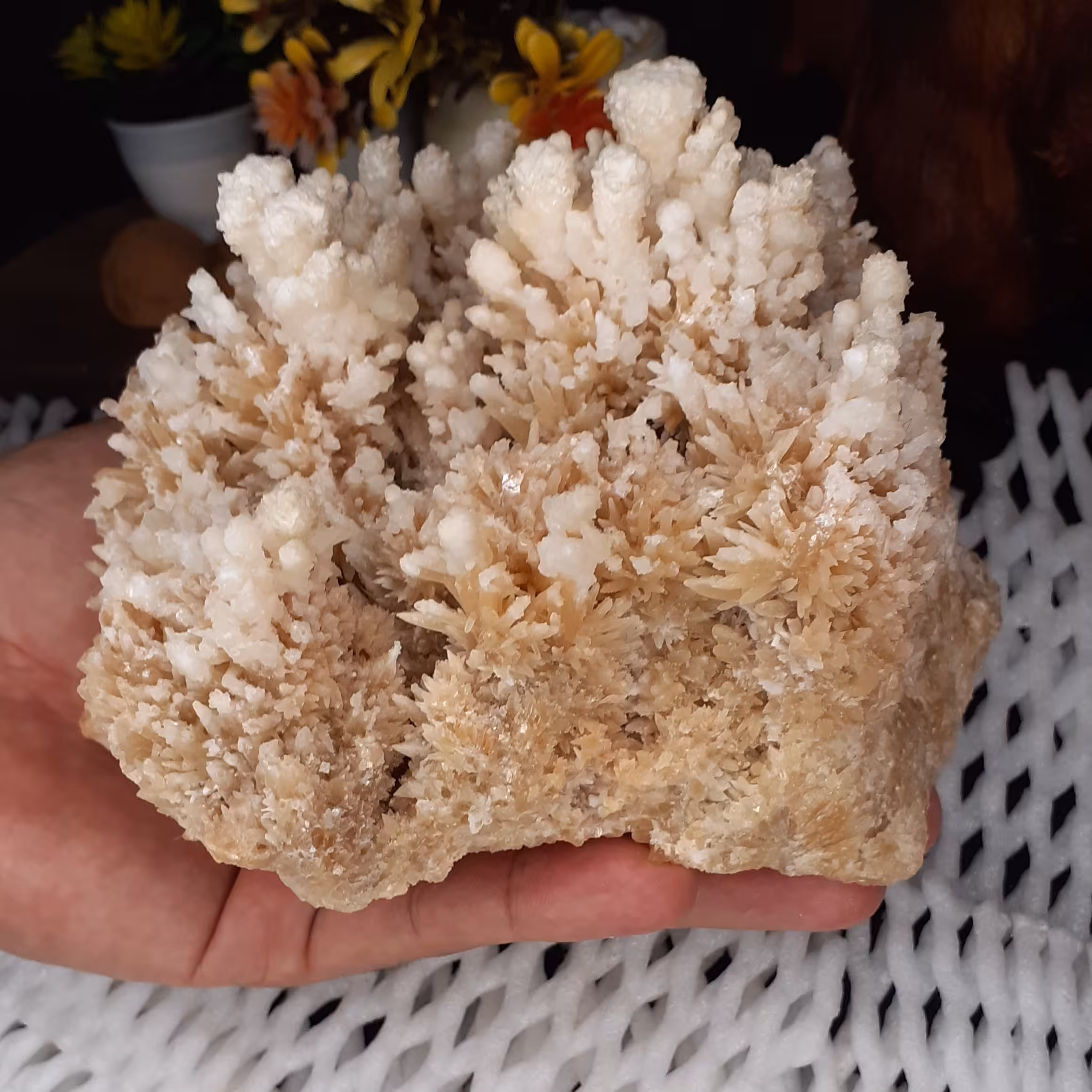 سنگ کلکسیونی آراگونیت سوزنی درختی سایز درشت 