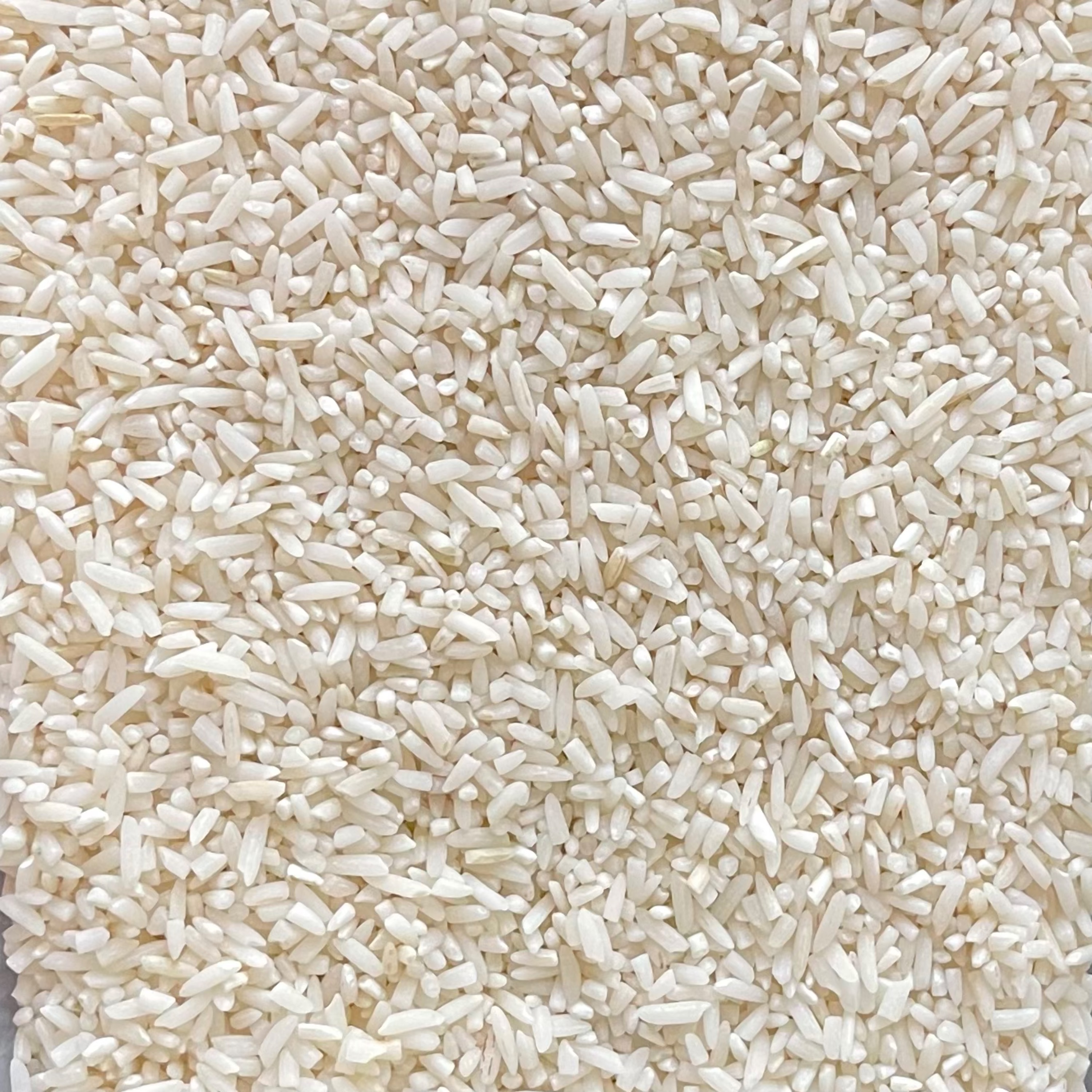 برنج  طارم هاشمی  نیم دانه درجه 1 امساله (10 کیلوگرم)-بدون ناخالصی
