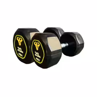 دمبل گرد استوپ دار 20 کیلوگرمی PSH بسته دو عددی