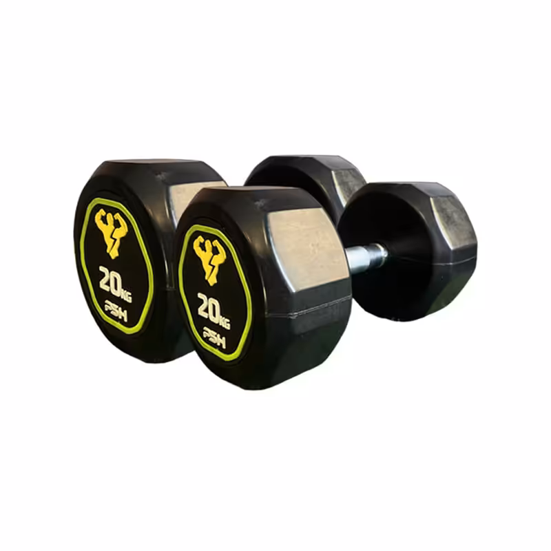 دمبل گرد استوپ دار 20 کیلوگرمی PSH بسته دو عددی