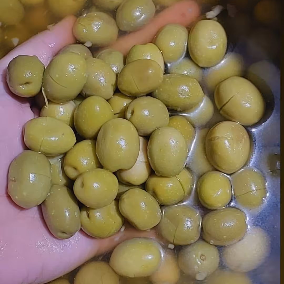 زیتون کنسروی 