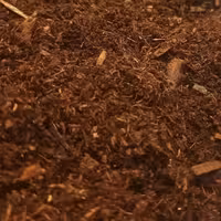 خاک حلزون 5 کیلویی با قابلیت تغذیه حلزون