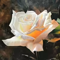 تابلو رنگروغن نقاشی  گل رز جاویدان  