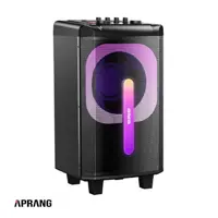 اسپیکر آیوا قابل حمل و شارژی مدل SS-X200DSP PRO - مشکی