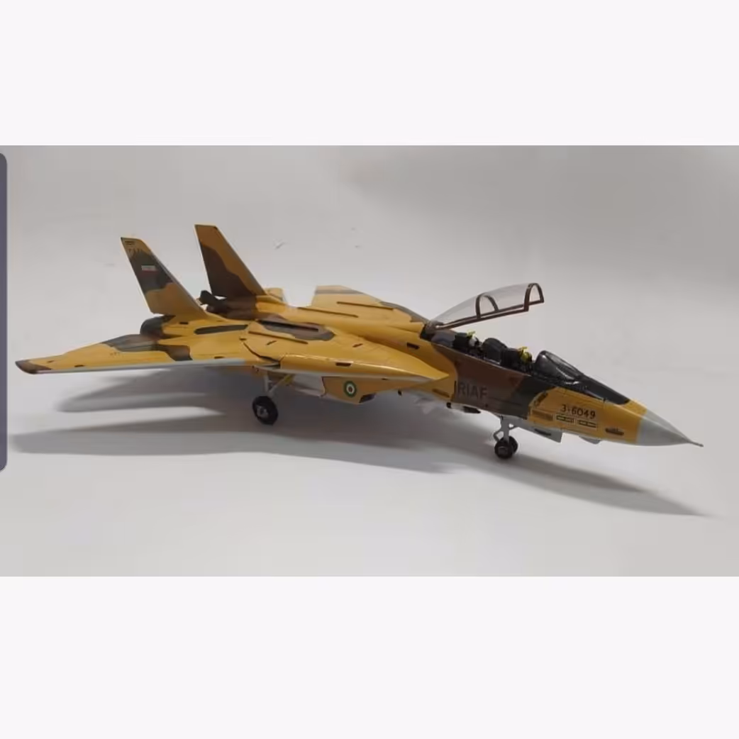 ماکت دست ساز جنگنده F14 (تامکت) نیروی هوایی ارتش