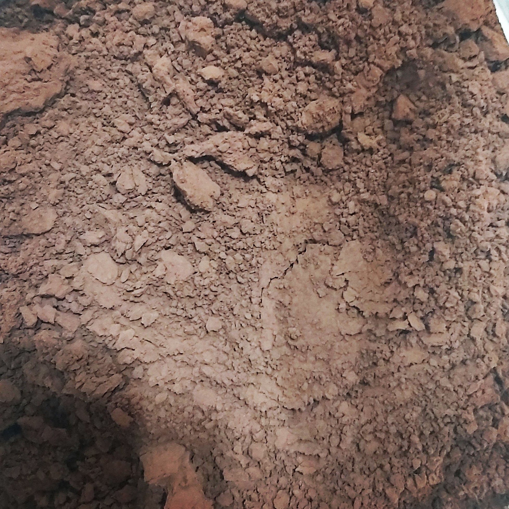 پودر کاکائو s9 ترکیه اصل (200گرم )