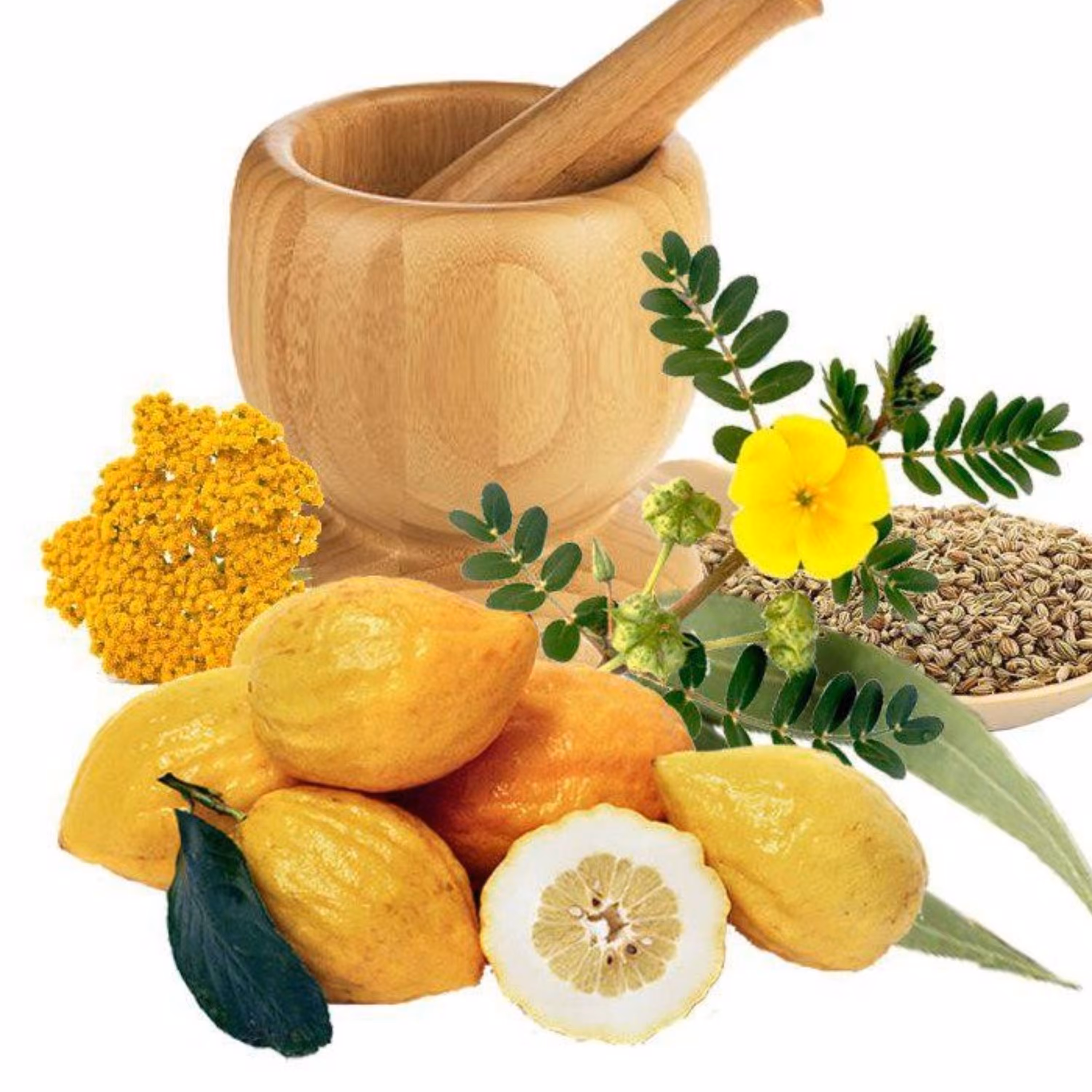 معجون پروستات