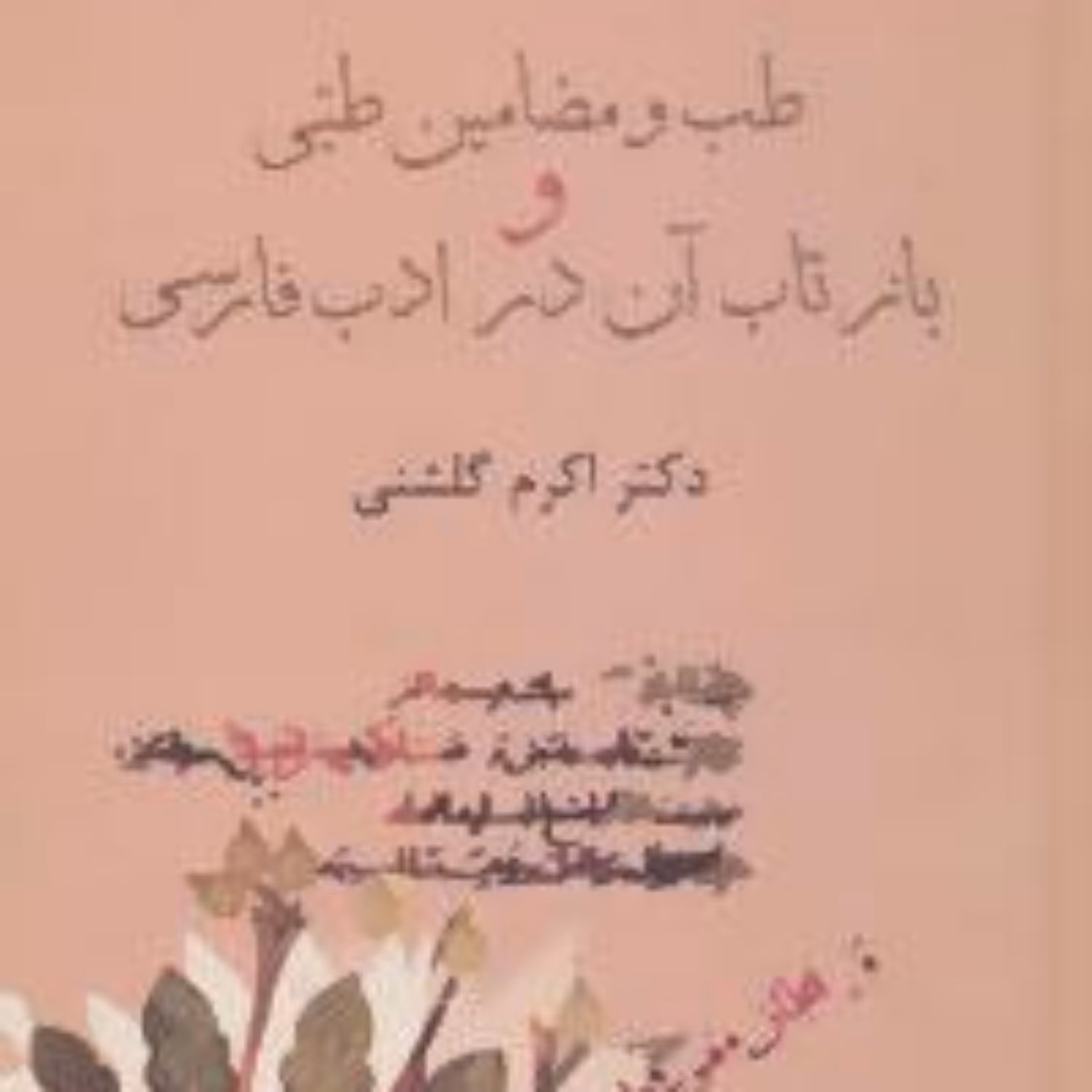 طب و مضامین طبی و بازتاب آن در ادب فارسی