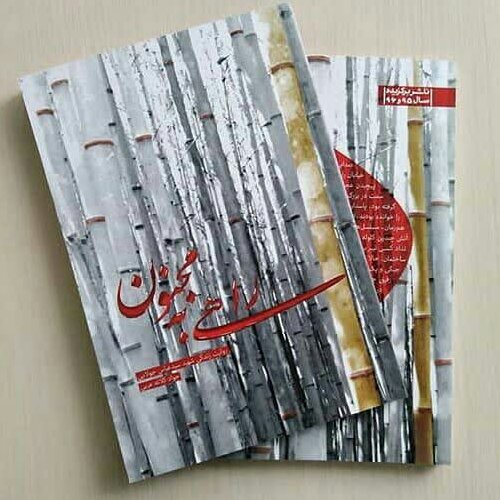کتاب راهی به مجنون