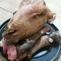کله پاچه بره نر