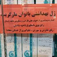 ژل شستشوی بهداشتی بانوان