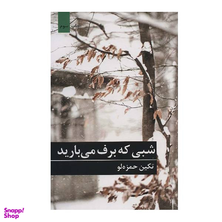 کتاب شبی که برف میبارید اثر تکین حمزه لو انتشارات برکه خورشید