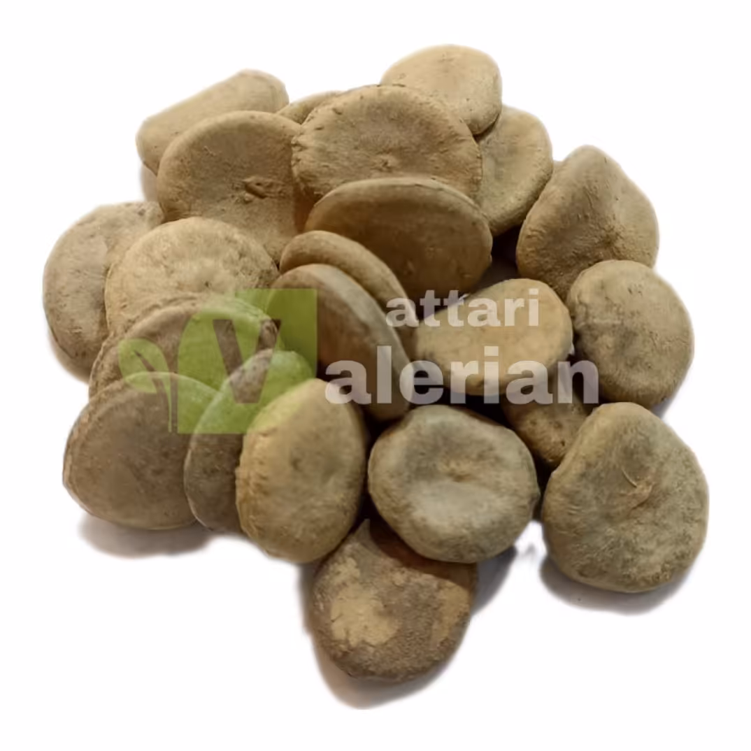 کچوله آذاراقی