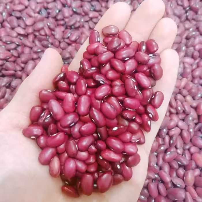 لوبیا قرمز محلی زودپز یک کیلویی ( فروش ویژه)