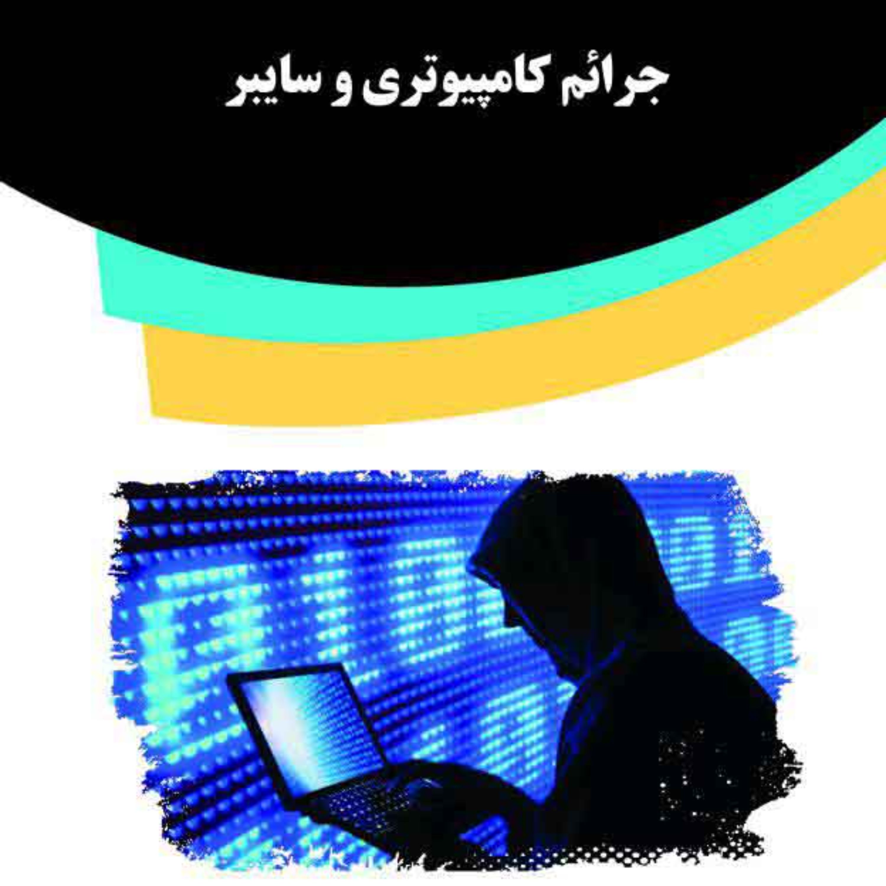 کتاب جرائم کامپیوتری و سایبر
