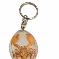 جاکلیدی کلکسیونی خرچنگ خارجی