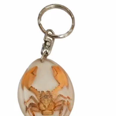 جاکلیدی کلکسیونی خرچنگ خارجی