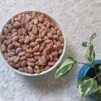 بادام زمینی درجه یک آستانه (500گرمی)