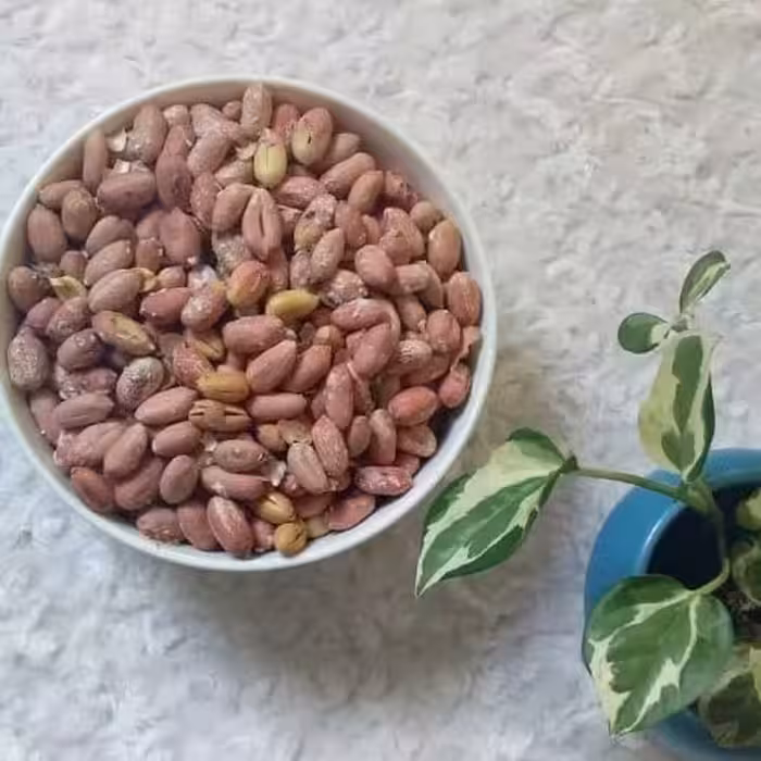 بادام زمینی درجه یک آستانه (500گرمی)