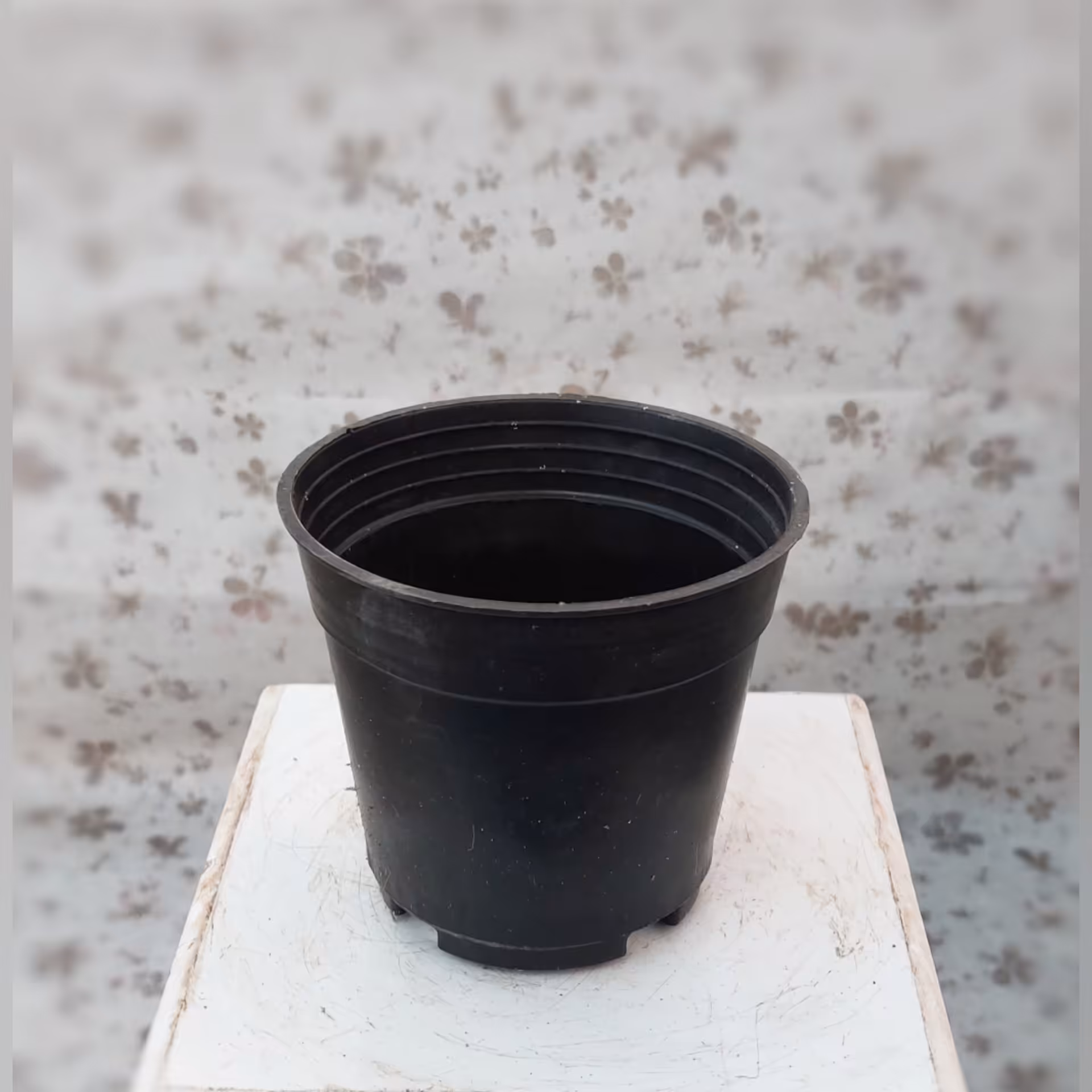 گلدان پلاستیکی با قطر 8 سانتی متر ( پک 5 عددی ) 