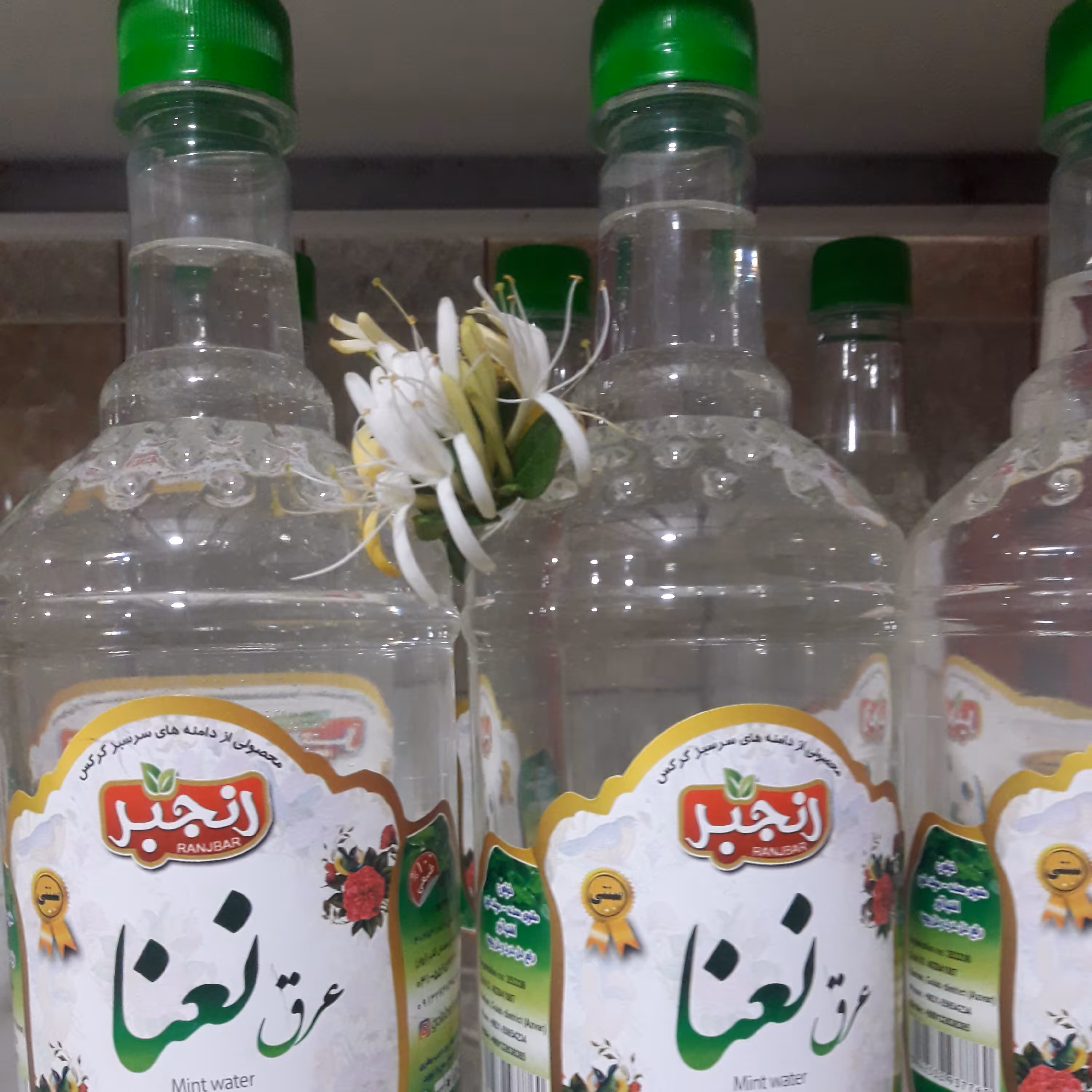 عرق نعنا درجه1