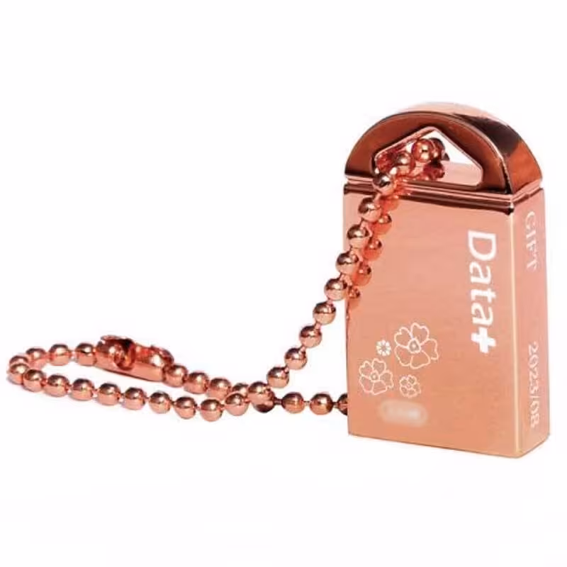 فلش مموری دیتا پلاس مدل GIFT ظرفیت 128 گیگابایت