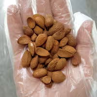 مغز بادام درختی 100 گرمی نانا