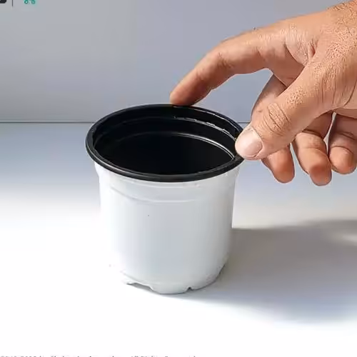 گلدان پلاستیکی ژله ای سایز 10 سفید مجموعه 200 عددی