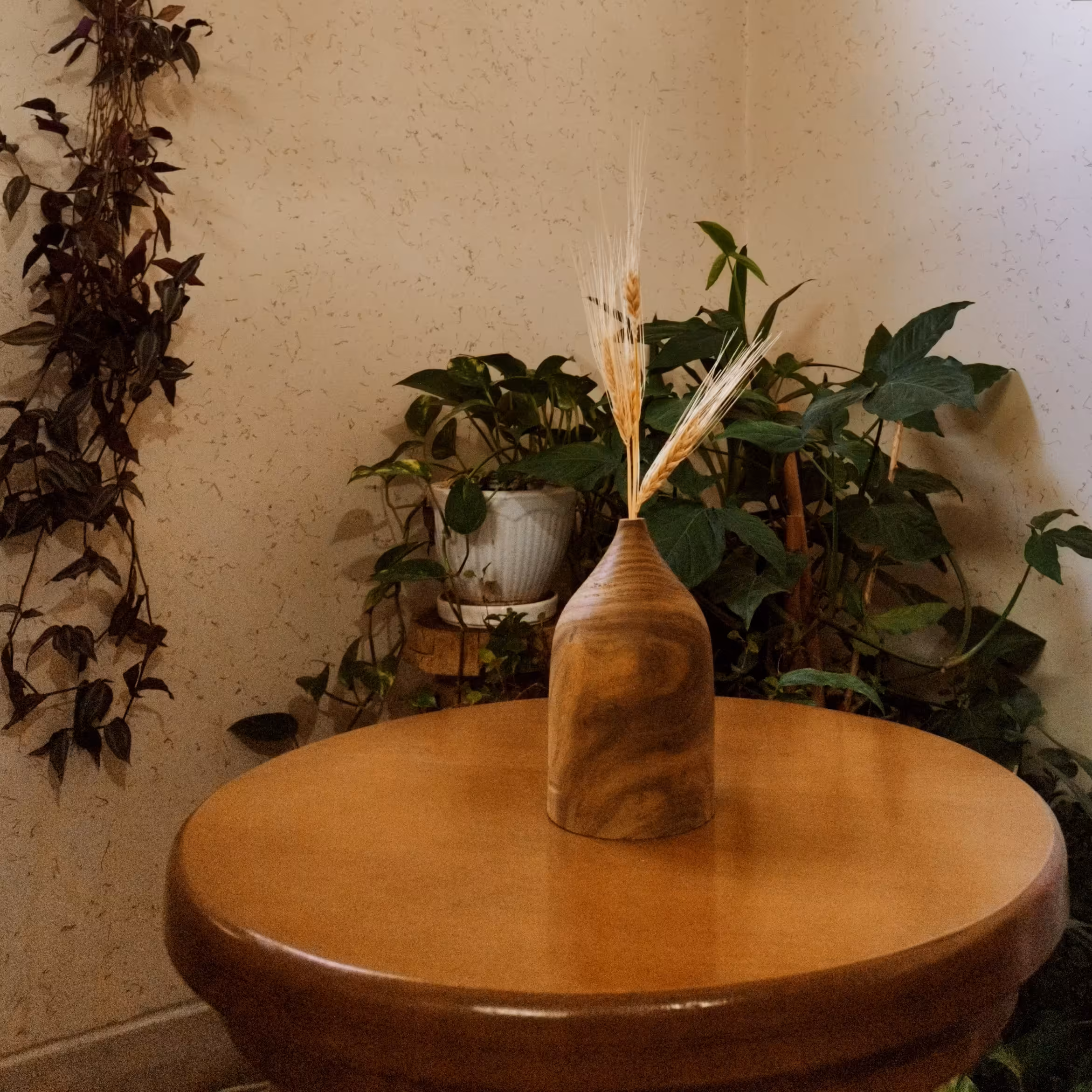 گلدان گندمک
