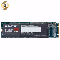 اس اس دی اینترنال گیگابایت مدل GP-GSM2NE8512GNTD ظرفیت 512 گیگابایت