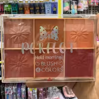 پالت رژگونه شش رنگ پینک کی سایز بزرگ