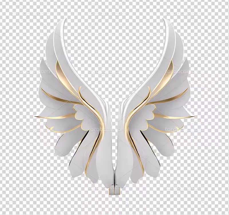 عکس PNG بال سفید | گرافیک با طعم تربچه