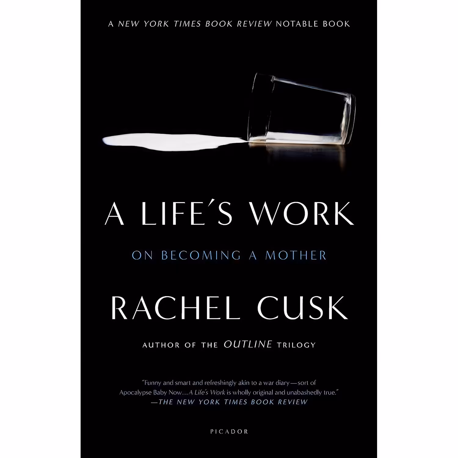 کتاب زبان اصلی A Lifes Work اثر Rachel Cusk