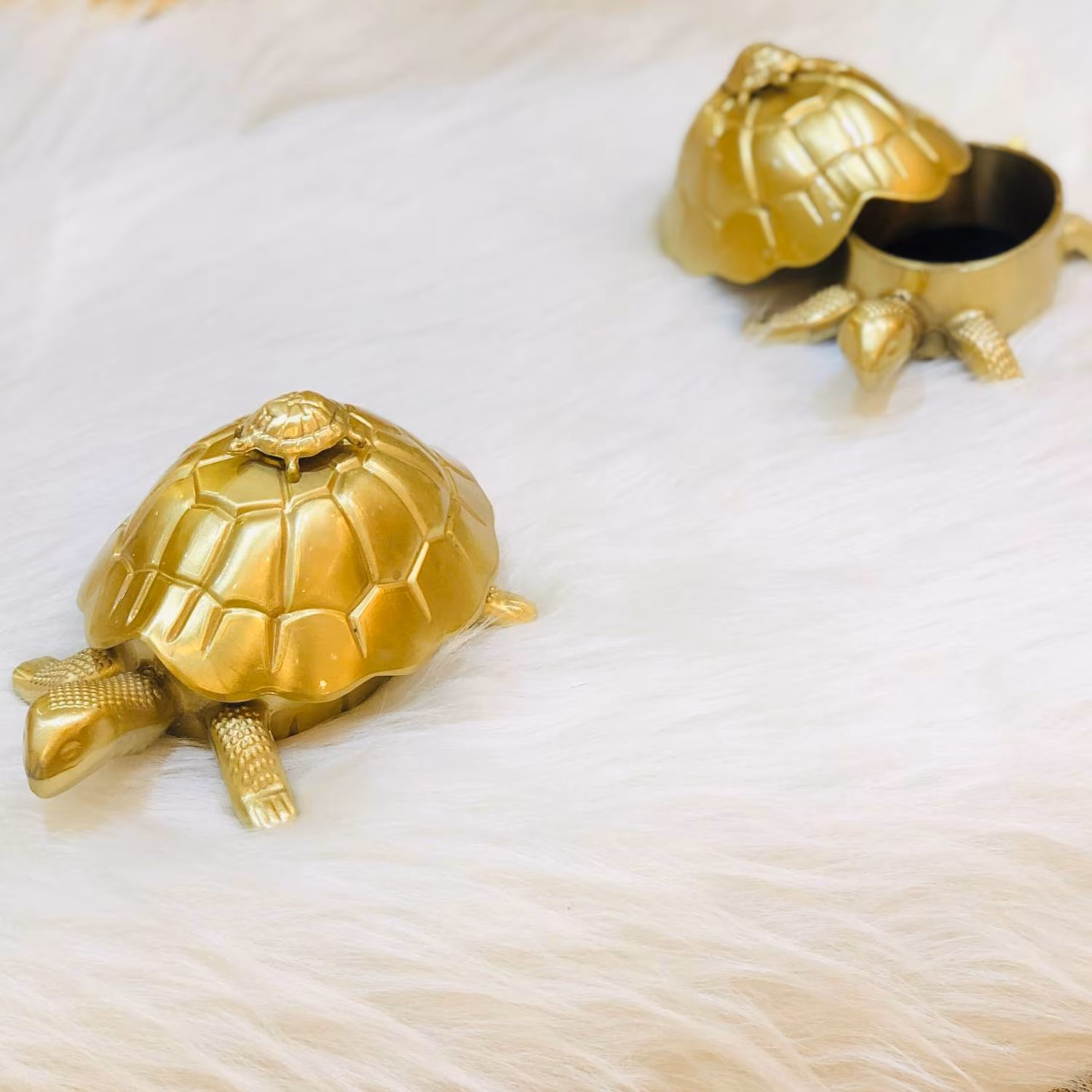 شکلات خوری و قندان  طرح لاکپشت