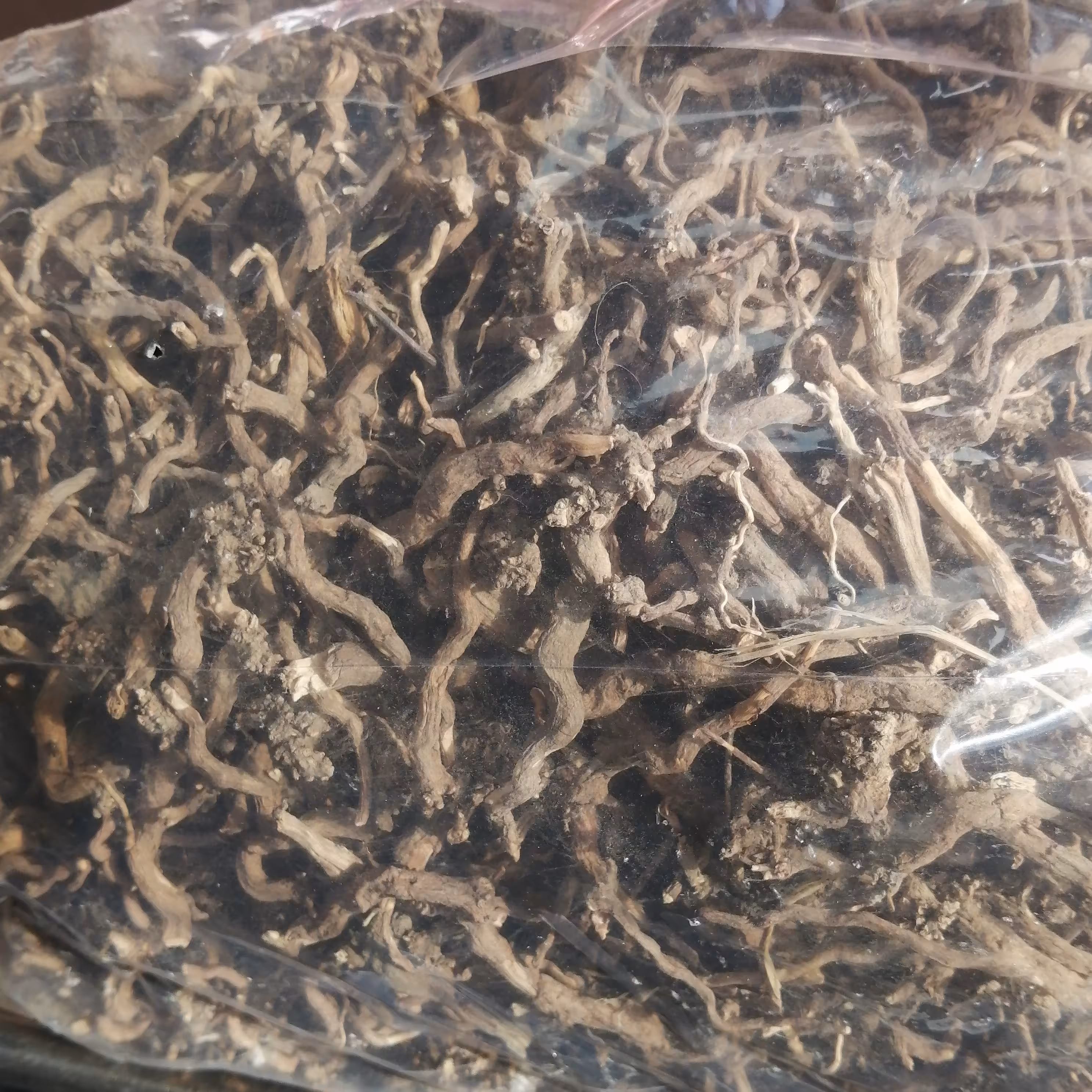 بوزیدان 75 گرم