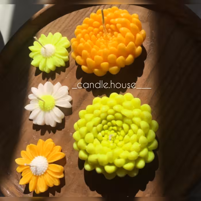 شمع گل داوودی روابی زیبا در هر رنگی قابل اجراست