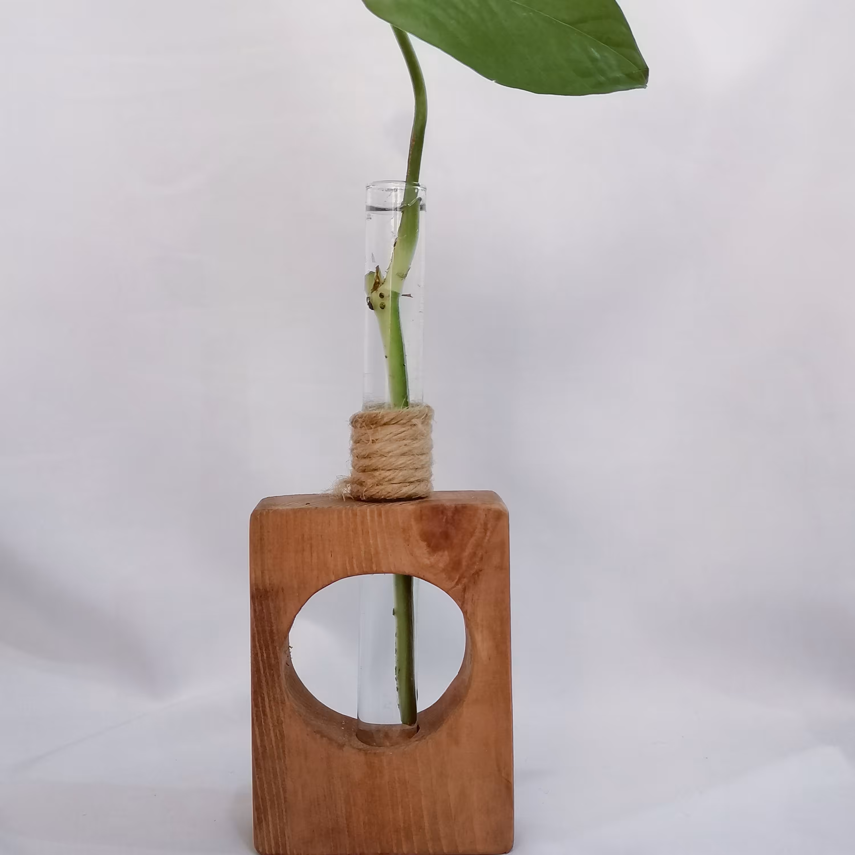 گلدان قلمه چوبی   چوب روس سوپر  با شیشه درجه 1  زیبا  و مناسب برای قلمه گیاه و همچنین گل مصنوعی