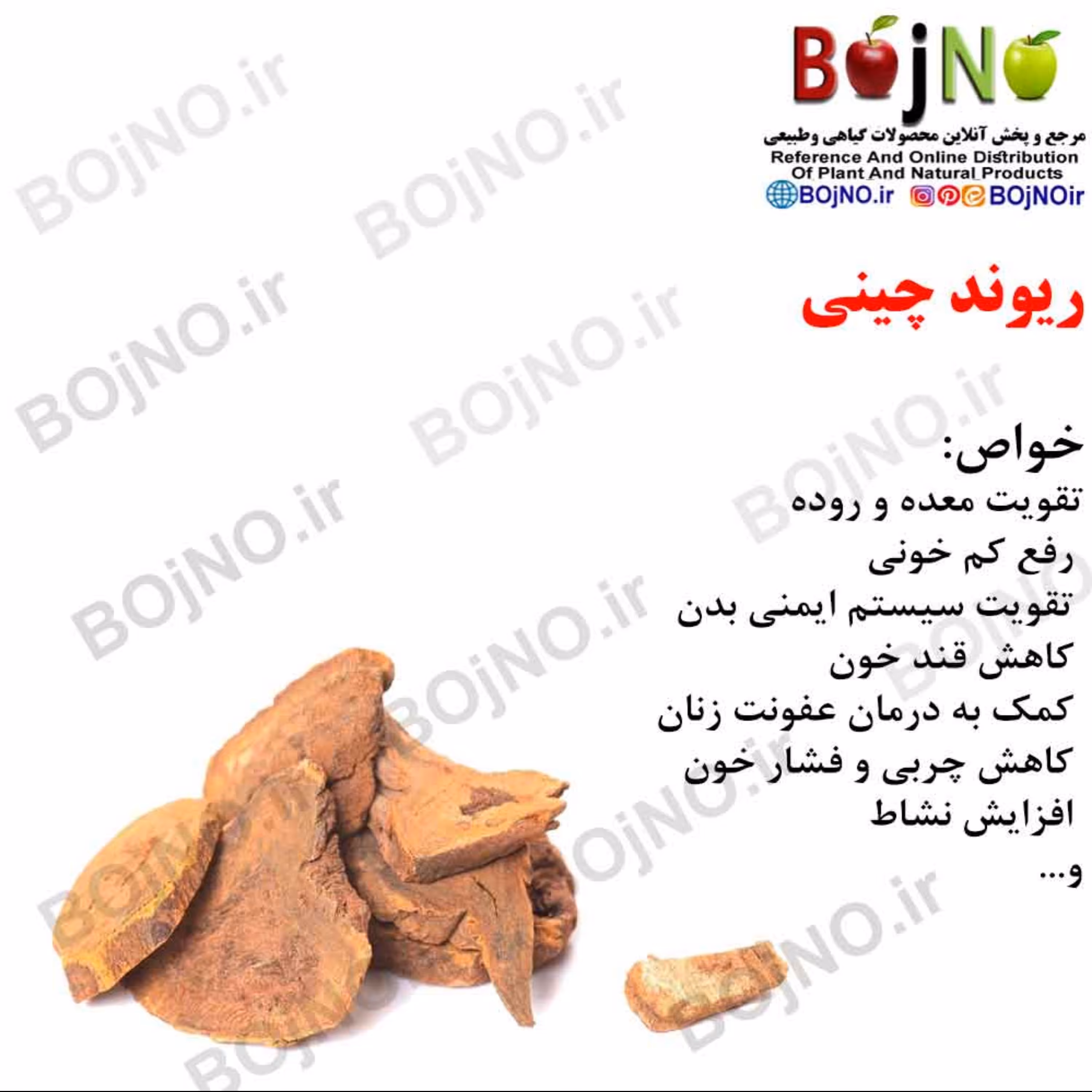 ریوند چینی (بسته 50گرمی)