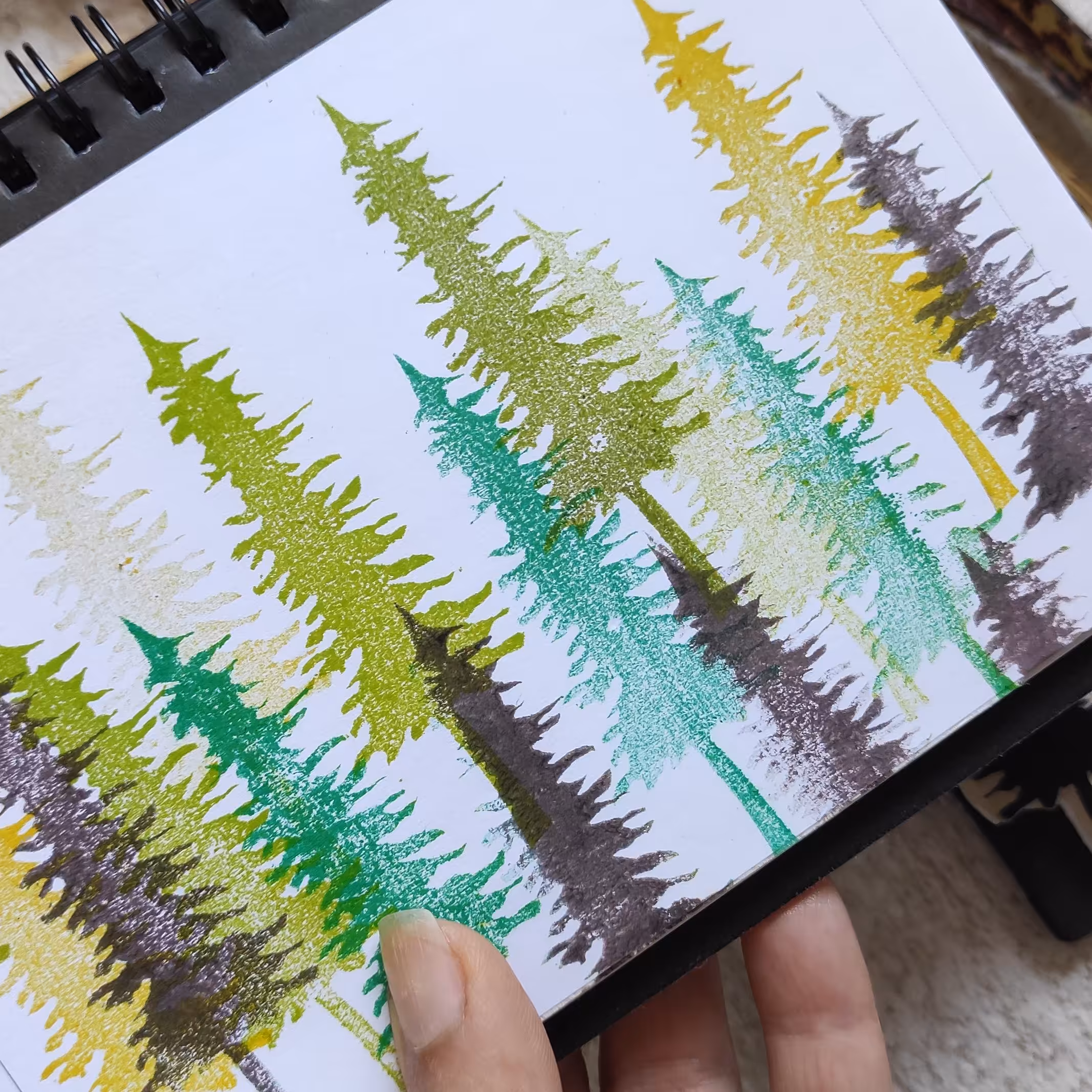 مهر  دست ساز   درخت  کاج جنگلی