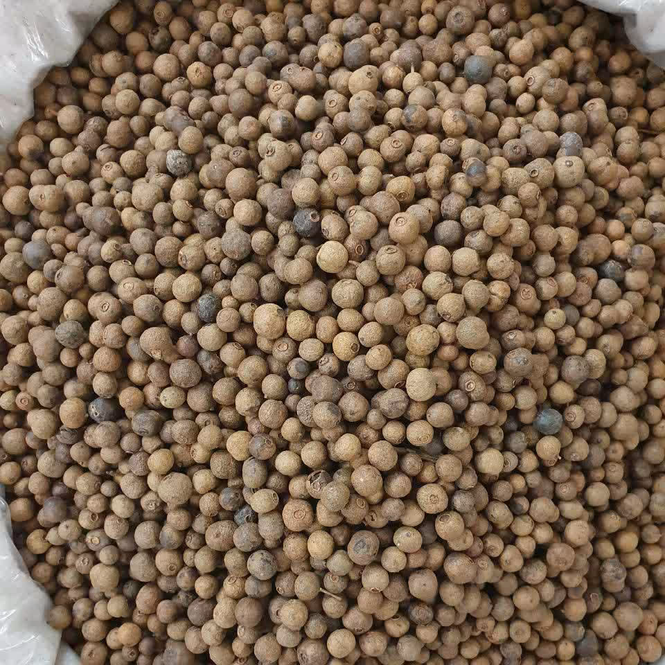 بهار فلفل 50 گرم فلفل بهاره 