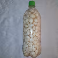 سیر ترشی سفید